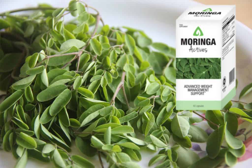 Moringa Actives propriétés ingrédients notice