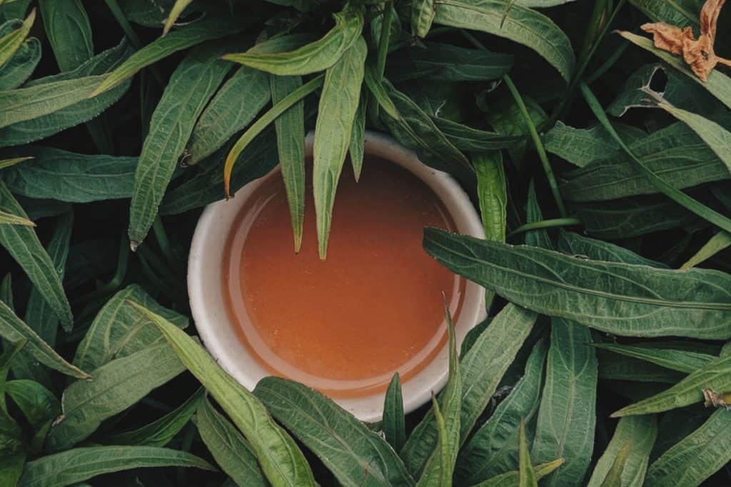 GOAT Stamina contient du thé vert dans sa composition